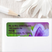 Rhododendron Nach dem Regen (Insitu)