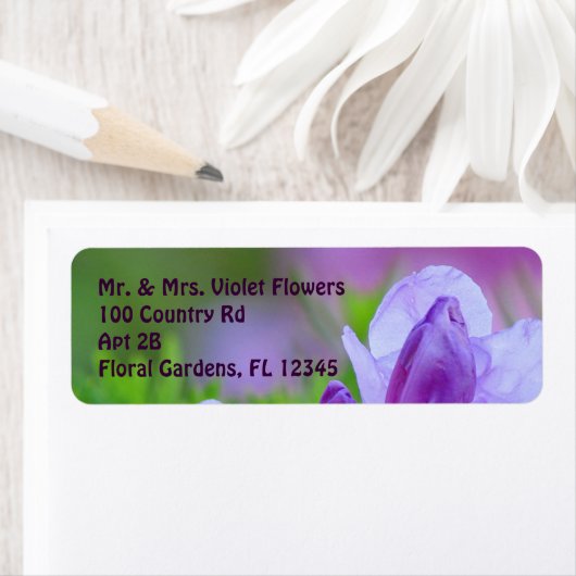 Rhododendron Nach dem Regen (Insitu)