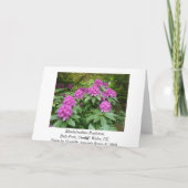 Rhododendron Ponticum Karte (Rückseite)