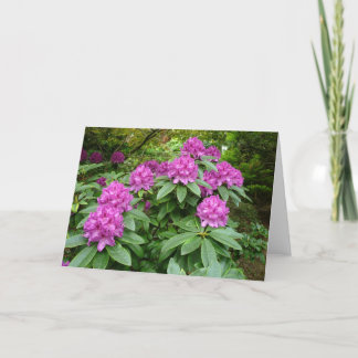 Rhododendron Ponticum Karte