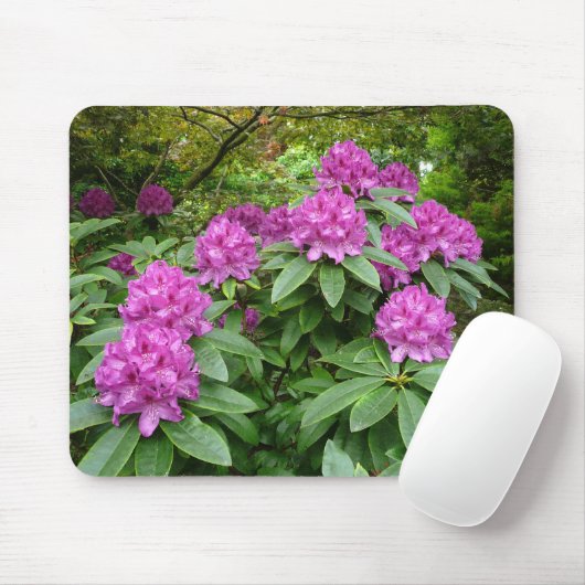 Rhododendron Ponticum Mousepad (Mit Mouse)