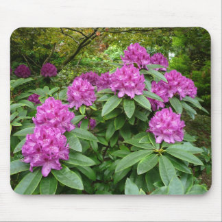 Rhododendron Ponticum Mousepad