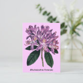 Rhododendron Ponticum Postkarte (Stehend Vorderseite)