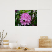 Rhododendron Poster (Küche)