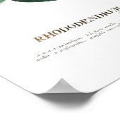 Rhododendron Poster (Ecke)