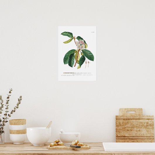 Rhododendron Poster (Küche)