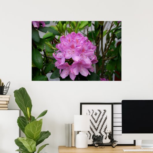 Rhododendron Poster (Heimbüro)