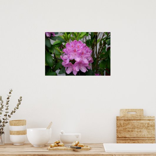 Rhododendron Poster (Küche)