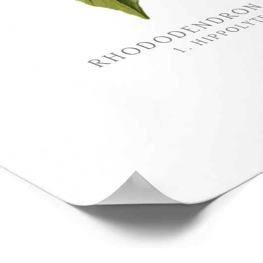 Rhododendron Poster (Ecke)