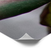 Rhododendron Poster (Ecke)