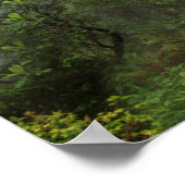 Rhododendron - Redwood-Nationalpark California Poster (Ecke)