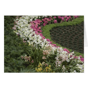 Rhododendron (Rhododendron catawbiense) Heath