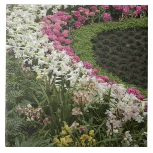 Rhododendron (Rhododendron catawbiense) Heath Fliese