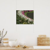 Rhododendron (Rhododendron catawbiense) Heath Poster (Küche)