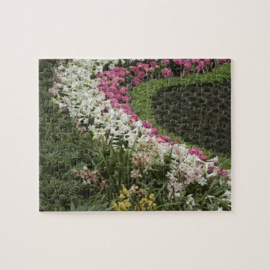 Rhododendron (Rhododendron catawbiense) Heath Puzzle (Horizontal)