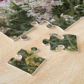 Rhododendron (Rhododendron catawbiense) Heath Puzzle (Seite)