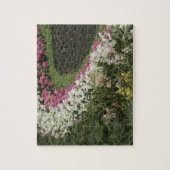 Rhododendron (Rhododendron catawbiense) Heath Puzzle (Vertikal)