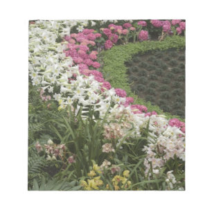 Rhododendron (Rhododendron catawbiense) Heide Notizblock