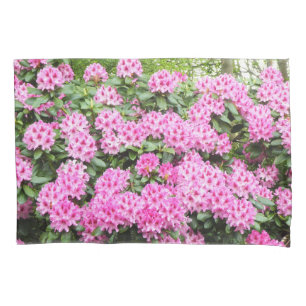 Rhododendron rosa kissenbezug