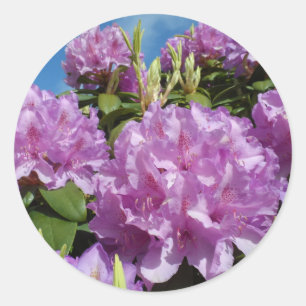 Rhododendron Runder Aufkleber