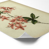 Rhododendron-Studienposter Poster (Ecke)
