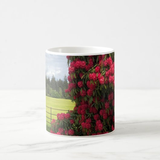 Rhododendron und Landschaftlicher Blick in Schottl Kaffeetasse (Mittel)