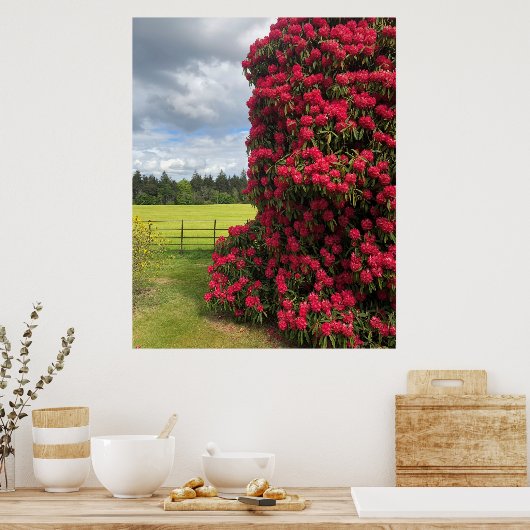 Rhododendron und Landschaftlicher Blick in Schottl Poster (Küche)
