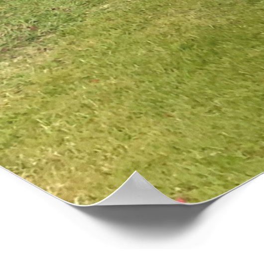 Rhododendron und Landschaftlicher Blick in Schottl Poster (Ecke)