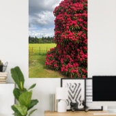 Rhododendron und Landschaftlicher Blick in Schottl Poster (Heimbüro)