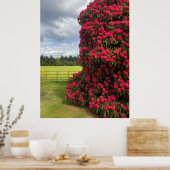 Rhododendron und Landschaftlicher Blick in Schottl Poster (Küche)