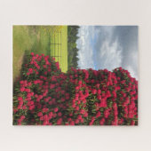 Rhododendron und Landschaftlicher Blick in Schottl Puzzle (Horizontal)
