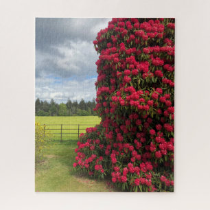 Rhododendron und Panoramablick in Schottland Puzzle