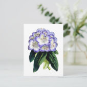 Rhododendron Vintag Botanische Postkarte (Stehend Vorderseite)