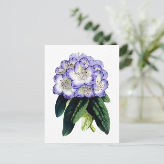 Rhododendron Vintag Botanische Postkarte (Stehend Vorderseite)