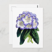 Rhododendron Vintag Botanische Postkarte (Vorne/Hinten)