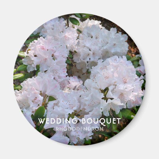 Rhododendron "Wedding Bouquet" Magnet (Vorne)