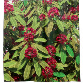Rhododendronblüte Duschvorhang (Vorderseite)