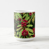 Rhododendronblüte Kaffeetasse (Mittel)