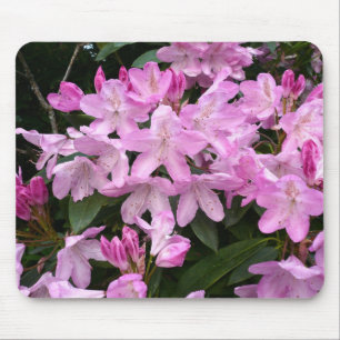 Rhododendrons II Mousepad