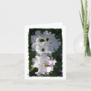 Rhododendrons Notecard Karte
