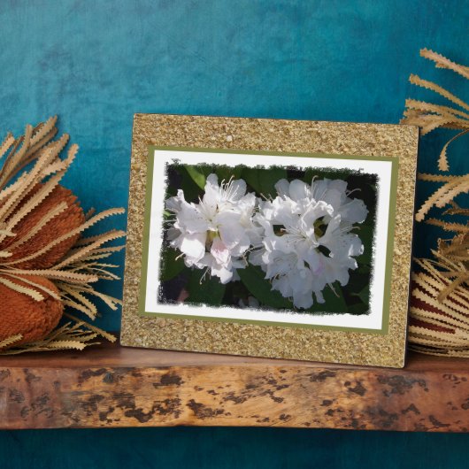 Rhododendrons Plaque Fotoplatte (Seite)