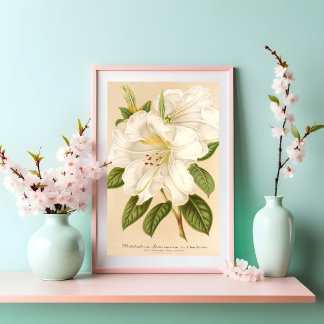 Rhododendrum Sesterianal Kunst, Dichtung und Musik Poster