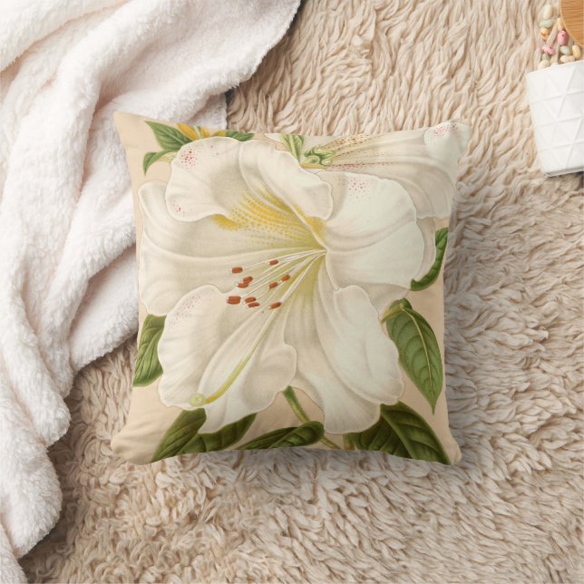 Rhododendrum Sesterianum, Vintag Kissen (Decke)