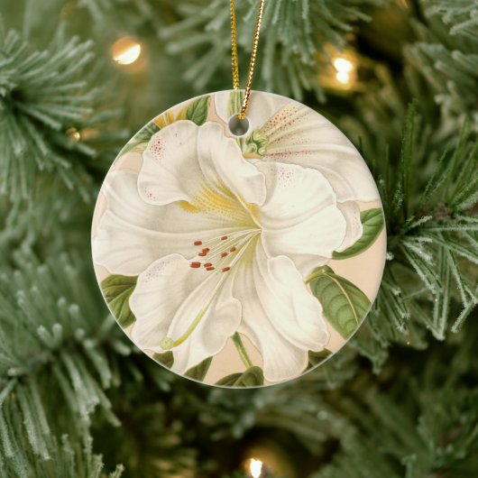 Rhododendrum Sesterianum, Weihnachtsbaum Keramik Ornament (Baum)
