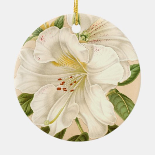 Rhododendrum Sesterianum, Weihnachtsbaum Keramik Ornament (Hinten)