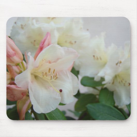 RHODODENDRUMS Blume MAUSPADS MOUSEPAD (Vorne)