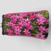 Rhodohypoxis / Roter Stern / Rosy Posy Golf Headcover (Vorderseite)