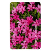 Rhodohypoxis / Roter Stern / Rosy Posy Magnet (Vertikal)