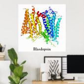 Rhodopsin Poster (Heimbüro)