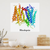 Rhodopsin Poster (Küche)